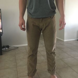 Tan Patagonia corduroy pants